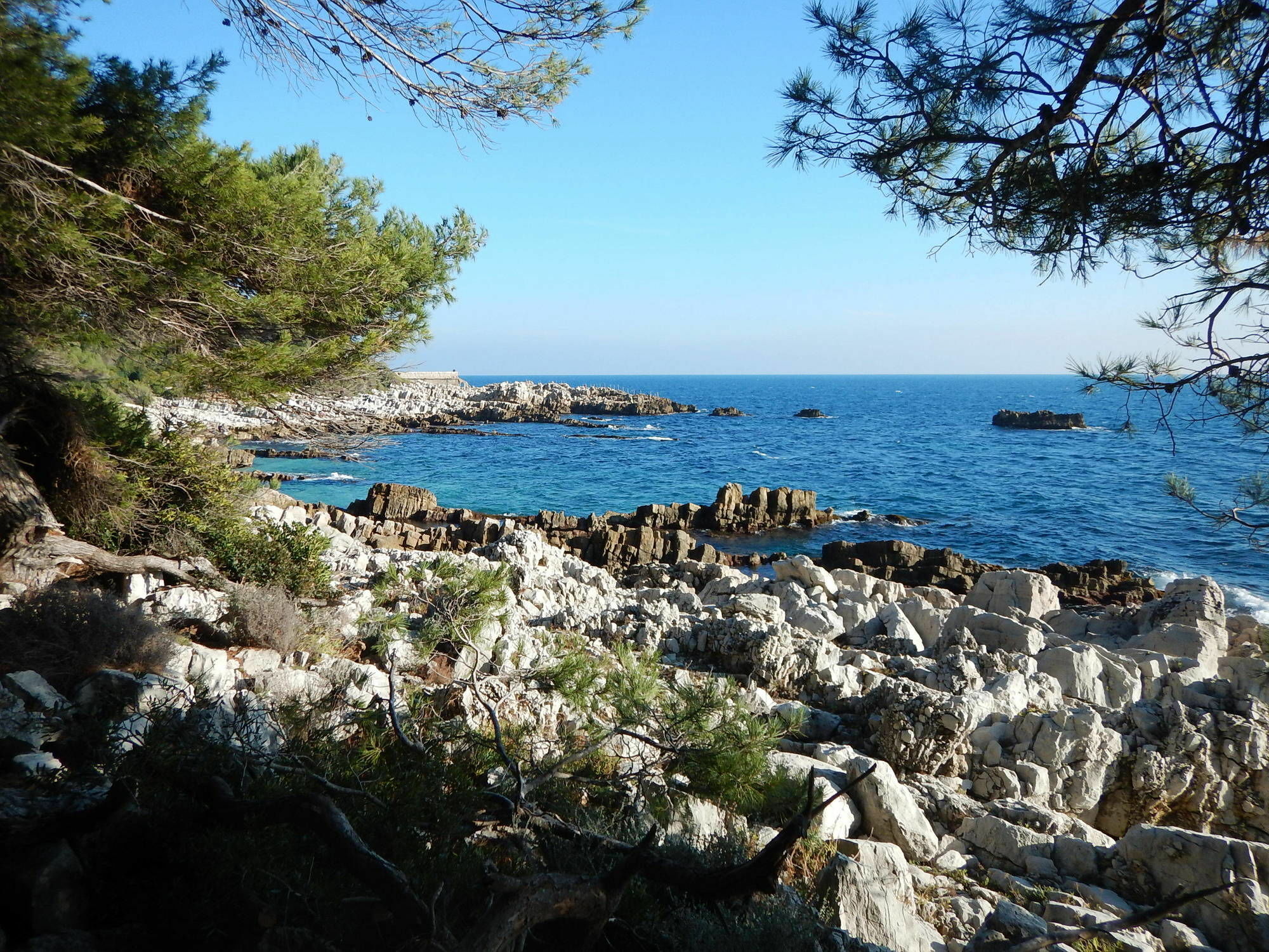 Hotel Miramar- Cap D'Antibes - La Garoupe Plage Ngoại thất bức ảnh